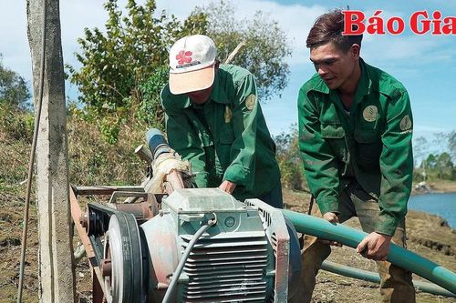 Ia Grai chủ động ứng phó thiếu nước tưới cây trồng
