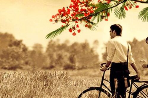 Tản mạn chuyện tình yêu
