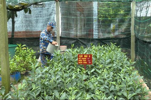 Xây dựng Trường Sa xanh, sạch, đẹp