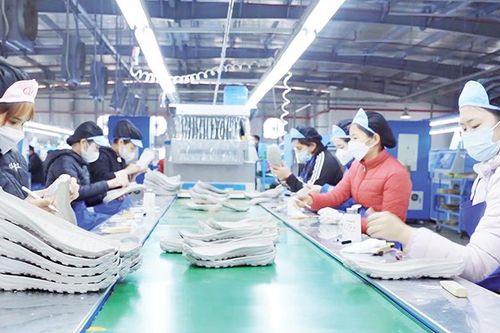 Hạ Hòa tập trung phát triển kinh tế