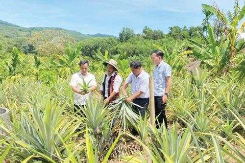 Nông nghiệp xanh - hướng phát triển bền vững