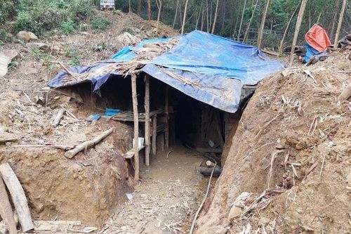 Quảng Nam: Xin ý kiến chấp thuận chủ trương đầu tư dự án khai thác khoáng sản vàng gốc tại khu vực Bãi Cao