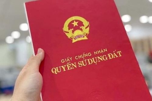 Phát hiện sổ đỏ có nhiều dấu hiệu giả mạo