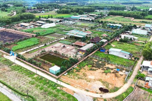 Cận cảnh dự án sản xuất rau an toàn trái phép tại Bình Định