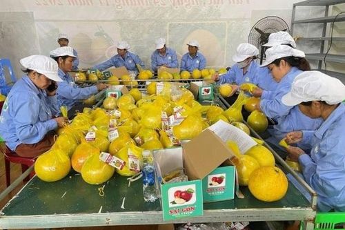 Hòa Bình: thúc đẩy xuất khẩu nông sản ra thị trường thế giới
