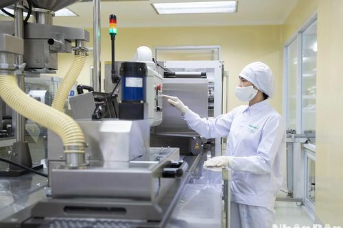 Năm 2030, tăng trưởng xuất khẩu một số sản phẩm hóa dược thiên nhiên hơn 10%/năm