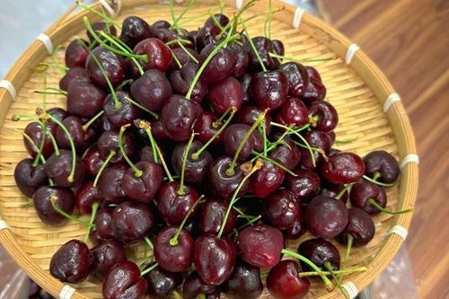 Cherry nhập khẩu 'rẻ chưa từng thấy', chị em thi nhau mua