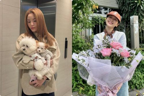 Kỳ Duyên chụp ảnh cùng cún cưng, Hải Tú rạng rỡ khoe bó hoa