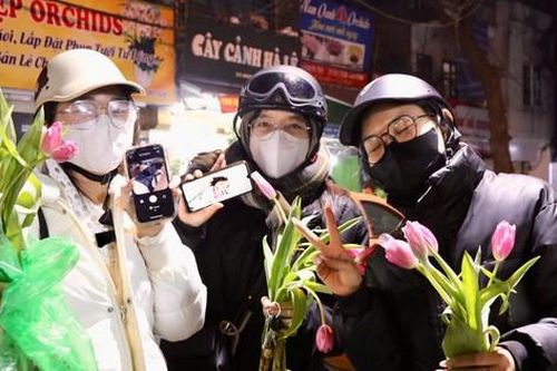 Giới trẻ mê trồng hoa tulip, tiểu thương thu hàng chục triệu mỗi ngày