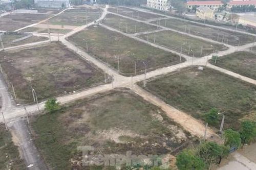 Hà Nội: Khu đất dịch vụ bỏ hoang, nhiều chủ hộ đã chết nhưng đất vẫn chưa giao