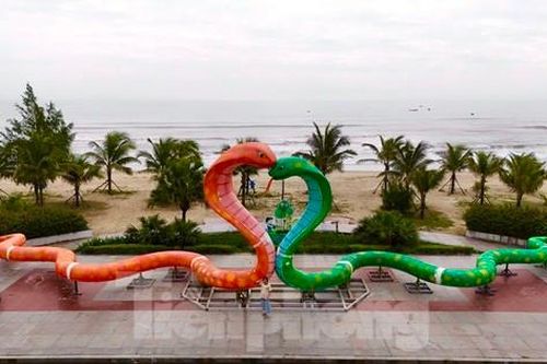 Sau Tết, hai linh vật rắn tạo hình trái tim ở Quảng Ngãi sẽ được đưa đi đâu?