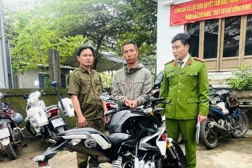 Đánh cắp 'siêu' mô tô BMW làm phương tiện đi ăn trộm
