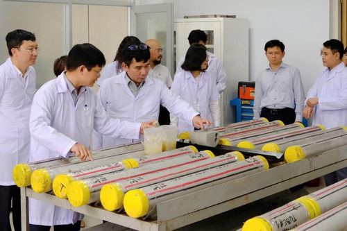 VPI cần đổi mới toàn diện theo định hướng phát triển mới