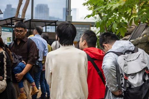 Vườn thú cấm khách nam ghé thăm một mình gây tranh cãi