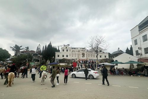 Hàng vạn khách tìm đến du xuân, cao nguyên Bắc Hà 'cháy' phòng nghỉ