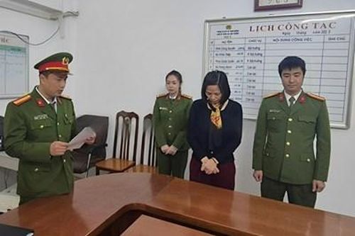 Khởi tố người phụ nữ làm giả báo cáo đánh giá tác động môi trường
