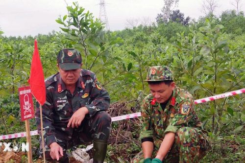 Quảng Trị hủy nổ an toàn 42 vật liệu nổ trong hầm đạn sót lại sau chiến tranh