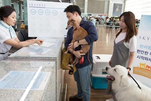Xu hướng ngành kinh doanh thú cưng - Bài 1: Những 'thành viên' gia đình không thể thiếu