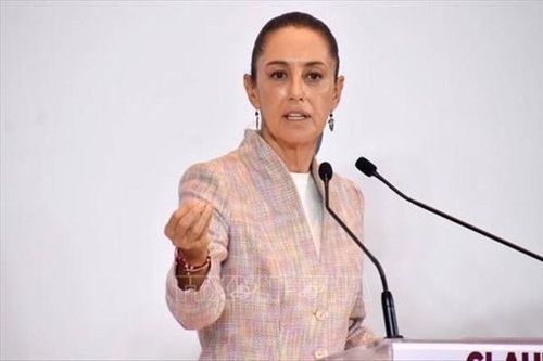 Tổng thống Mexico 'dọa' mở rộng vụ kiện các nhà sản xuất vũ khí Mỹ