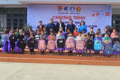 'Xuân tình nguyện' và 'Hành trình trái tim xanh VP 20'