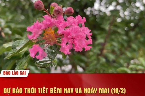 Nhiều địa phương có mưa nhỏ rải rác, trưa chiều giảm mây, trời nắng