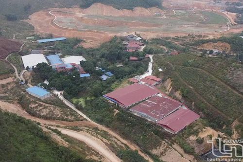 Trang trại nuôi lợn vi phạm: Cần xử lý nghiêm