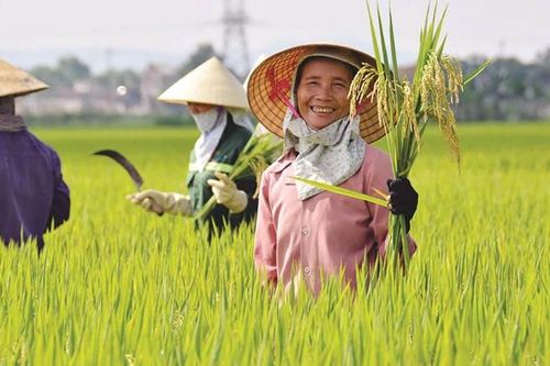 Đầu tư vào khu vực nông thôn để đạt được an ninh lương thực và tăng trưởng kinh tế