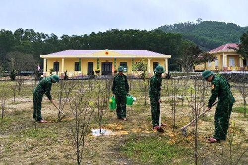 Mồ hôi đổ xuống, doanh trại thêm xanh