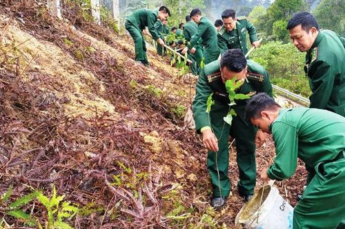 Vì màu xanh trên biên cương