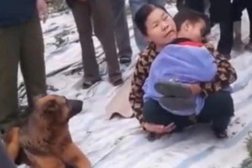 Bé trai đi lạc ở bờ sông, được chú chó trung thành bảo vệ suốt đêm