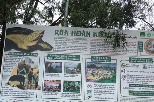 Đem cây, thú lạ về nhà, coi chừng lĩnh án