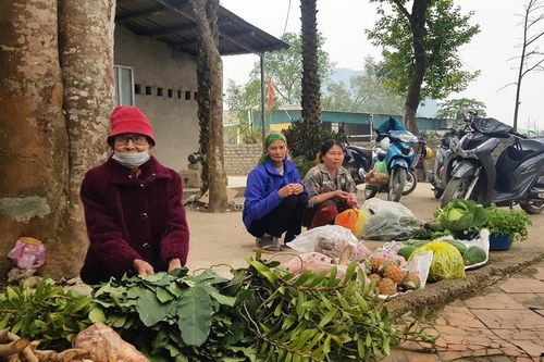 Đồng Lách biệt lập trong lòng thị xã