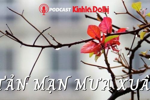 Podcast: Tản mạn mưa xuân