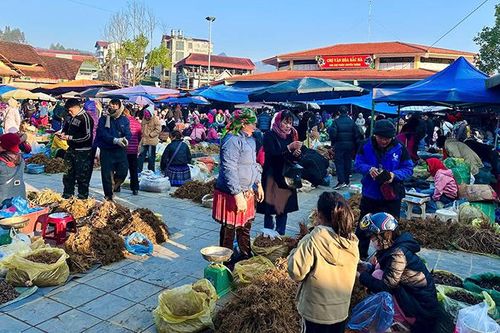 Rộn ràng chợ Bắc Hà ngày xuân