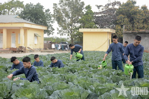 Chiến sĩ mới Sư đoàn 361 làm quen nền nếp quân ngũ