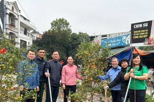 Tái sinh bánh kẹo, đào quất sau Tết