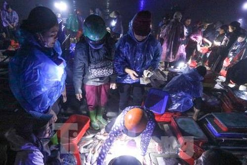 Chen chân rọi đèn pin đi chợ hải sản lúc trời chưa rạng