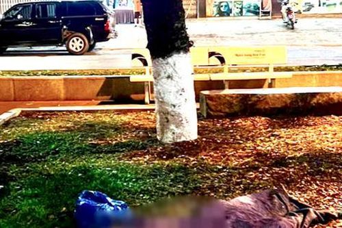 Phát hiện người đàn ông tử vong dưới gốc cây ở công viên