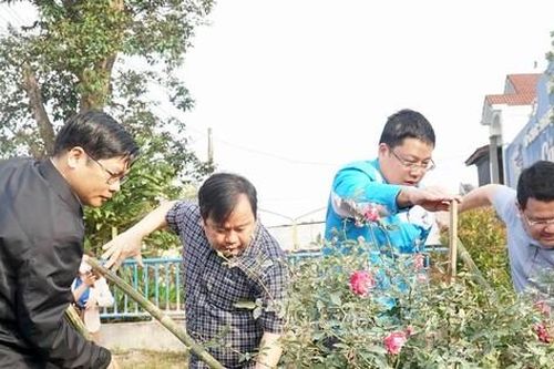 Phát động 6 tuần cao điểm thực hiện phong trào Chủ nhật xanh trong đoàn viên, thanh niên
