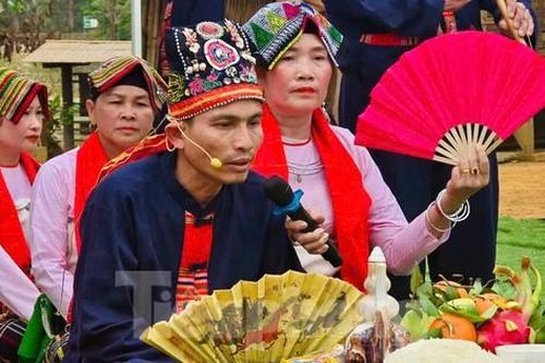 Lễ hội cầu may dưới cây bông