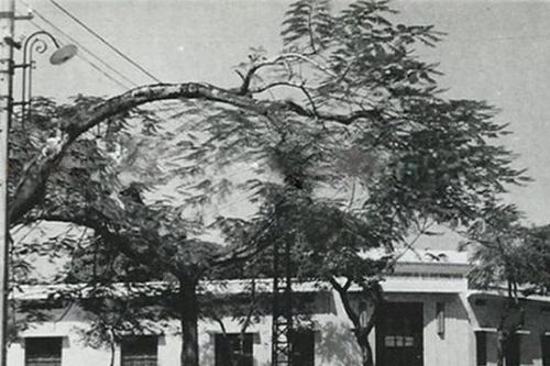 Nơi đầu tiên ở Việt Nam có điện: Không phải Hà Nội hay Sài Gòn, nay là thành phố lớn thứ 3 cả nước