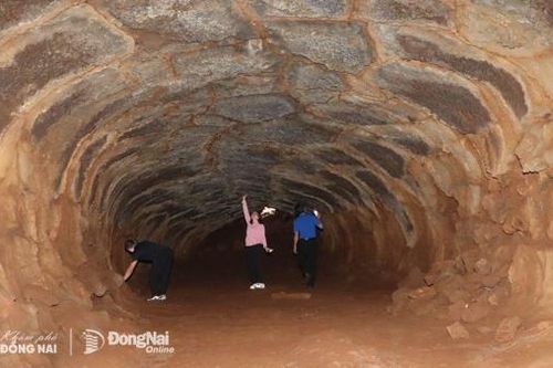 [Chùm ảnh] Khám phá thế giới hang động trong lòng đất giữa rừng giá tỵ ở Đồng Nai
