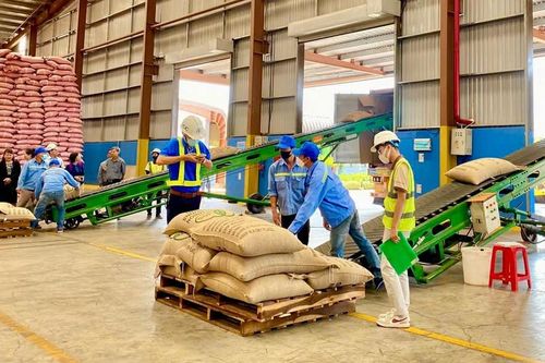 Nỗ lực cải thiện môi trường kinh doanh, nâng cao năng lực cạnh tranh