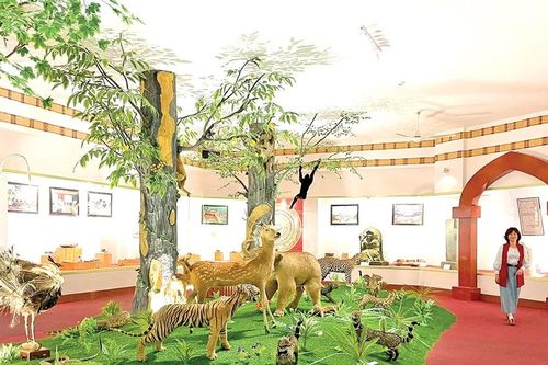Gia Lai đổi mới hoạt động bảo tàng