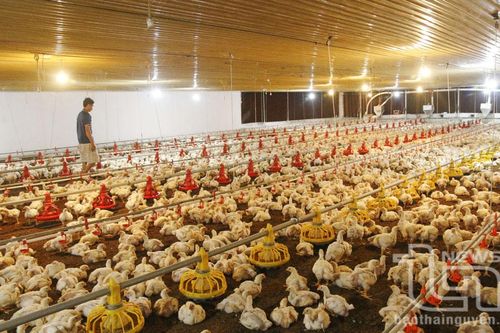 Liên kết để 'làm ăn lớn'
