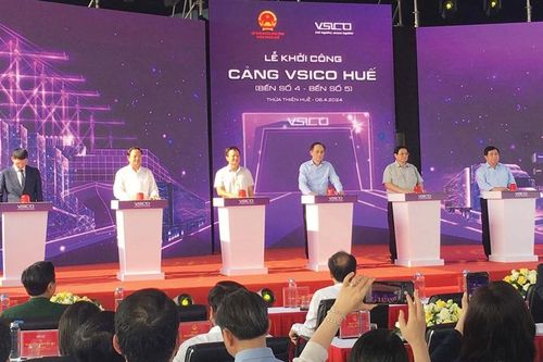 Niềm phấn khích đầu năm