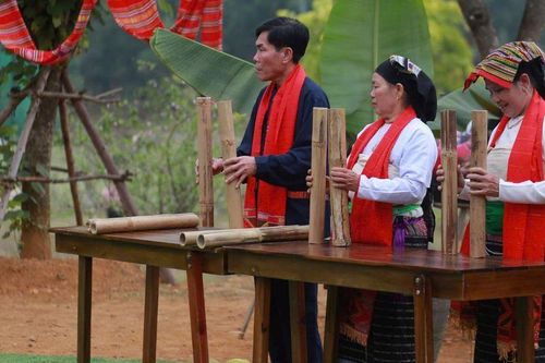 Độc đáo lễ hát múa ăn mừng dưới cây bông của đồng bào dân tộc Thái
