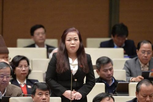 Tham vấn chính sách - tiếp cận chính sách 'từ sớm, từ xa'
