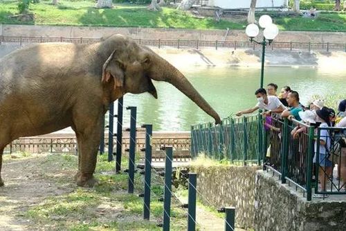 Điểm vui chơi thú vị dịp cuối tuần tại Hà Nội