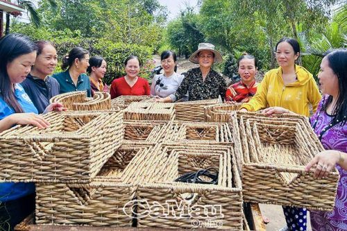 Cải thiện thu nhập từ nghề đan lục bình